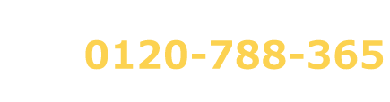 SON　AE お客様相談センター(無料)0120-788-365